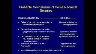 Neonatal Seizures DrAmjad Tarawneh Lecture Mutah University [upl. by Judah]