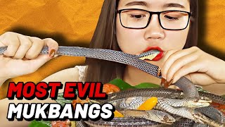 The Most Evil Mukbangs In The World [upl. by Ahsal]