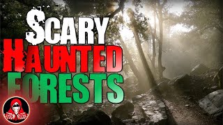 5 REAL Haunted Forest Encounters  Darkness Prevails [upl. by Akinot]