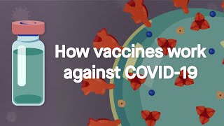 How vaccines work against COVID19 Science Simplified [upl. by Austine]