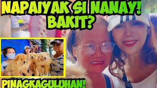 SANA KAYANIN MO NAY SOLID CHOW CHOW GRABE SA GANDA THE GROTTO PET MARKET UPDATE [upl. by Etteneg]