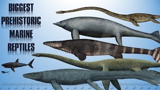 10 Biggest Sea Dinosaurs  Prehistoric Marine Reptiles [upl. by Martica]