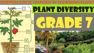 Nutritive needs of chlorophyllic plants part 1 [upl. by Borlase]