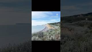 Beautiful Seven sisters of UK 🇬🇧 cliff brighton daytrip weekend ytshorts trekking trek [upl. by Ydnas]