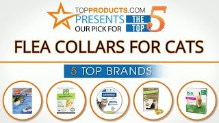 Best Flea Collars for Cats Reviews – How to Choose the Best Flea Collars for Cats [upl. by Annibo]