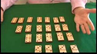 Dominoes for Beginners  Domino Set Tips [upl. by Auqenet]