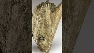 Have You Ever Seen Pyrite Hair Before No Well Heres Millerite crystals gems nature science [upl. by Andert]