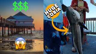 Fishing at the Clearwater Pier quotPier 60quot Pros and Cons [upl. by Hisbe]