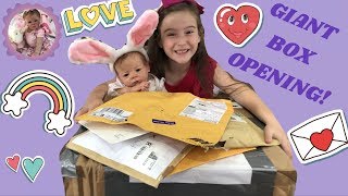 GIANT BOX OPENING for ALIYAH amp the REBORNS [upl. by Bronder]