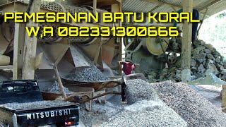 MELAYANI JUAL BATU KORAL SUPER [upl. by Euqinna326]