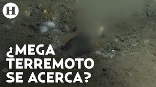 ¿Grieta en el Océano Pacífico provocaría un devastador terremoto Científicos alertan de su hallazgo [upl. by Gherlein]