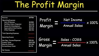 Profit Margin Gross Margin and Operating Margin  With Income Statements [upl. by Ott]