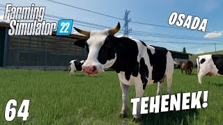 Farming Simulator 22 LIVE 64  Tehenek Osada 23 [upl. by Revert]