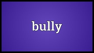 Bully Meaning [upl. by Sarat]