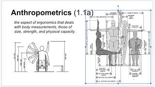 T1  Anthropometrics 1 [upl. by Jacklyn523]