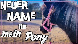 PONY SUCHT SICH NEUEN NAMEN AUS ♥ [upl. by Maillw]