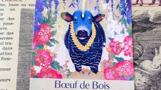 almanach de sorcières tirage du signe du jour le boeuf ♥️💗❤️ [upl. by Umberto]