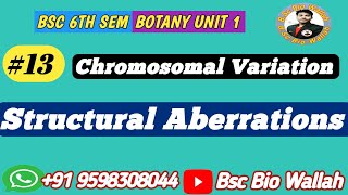 Structural Aberrations  Deletion Duplication Inversion and Translocation  Chromosomal variation [upl. by Cristin]