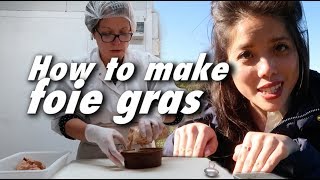 How to make FOIE GRAS and find TRUFFLES 🦆 Perigord Dordogne France [upl. by Bomke758]