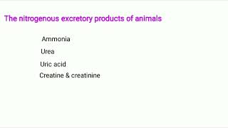 Excretion of nitrogenous wastes [upl. by Emerej]