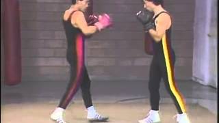 Mastering Savate 2  Fundamental Techniques [upl. by Laroy]