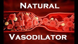 14 Natural Vasodilators  Nitric Oxide ED Cure [upl. by Gracia]