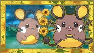 LIVE Static Shiny Dedenne in Pokémon X after 4256 REs [upl. by Afinom396]