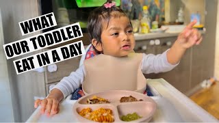 WHAT OUR TODDLER EAT IN A DAY  බබා දවස පුරා කන දේවල්  Binario 12 [upl. by Graniela]