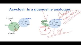 Mechanism of Action of Acyclovir [upl. by Aznaed]