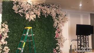 Boxwood hedge and bougainvilleas wall for backdrop [upl. by Rossing]