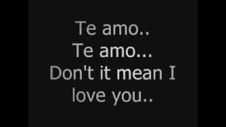 Rihanna  Te Amo Lyrics [upl. by Aniled852]