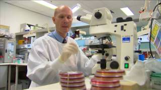 Day in the Life  Microbiology  Virology  Prof Bill Rawlinson [upl. by Anifur]