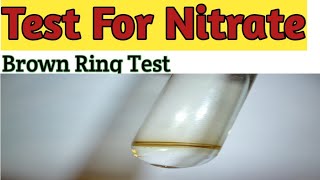 Test for Nitrate  Acidic Radical Analysis  Brown Ring Test  Vikram seervi  Chemistry Experiment [upl. by Barnett]