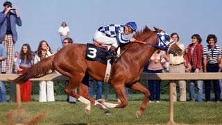 Preakness Stakes 1973 [upl. by Huppert]