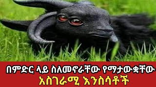 የአለም ህዝብ ስለመኖራቸው የማያውቋቸው አስገራሚ እንስሳቶችunbelievable animal exist in the worldአስገራሚ ethiopia [upl. by Artapoelc]