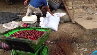 Coffee Depulping machine Peru [upl. by Nniroc322]