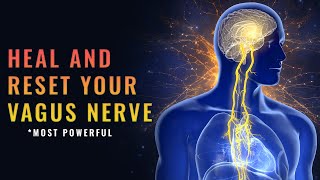 174 Hz vagus nerve stimulation music  Alpha Waves Reset Vagus Nerve Release Trauma From Your Body [upl. by Dorsey]