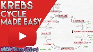 KREBS CYCLE MADE SIMPLE  TCA Cycle Carbohydrate Metabolism Made Easy [upl. by Annais]