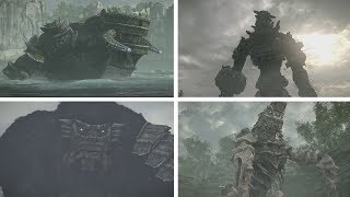 Shadow of the Colossus PS4  All Boss Fights  Bosses  Hard Time Attack [upl. by Aihsenad419]