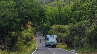 190 രൂപക്ക് masinagudi വഴി ooty യാത്ര  kozhikode to ooty TNSTC malayalam [upl. by Madelyn]