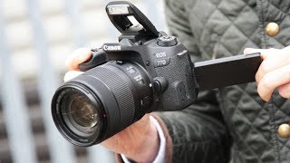 5 Best 4K DSLR Cameras In 2024 You Must Have [upl. by Tannenwald12]