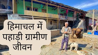 Mountain Village Life in Himachal Pradesh  हिमाचल प्रदेश का पहाड़ी ग्रामीण जीवन । The Young Monk [upl. by Benjamen623]