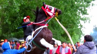 El Magia Negra  Sebastián Almendras quotEl Cuarto De Millaquot Corridos De Caballos [upl. by Barde]