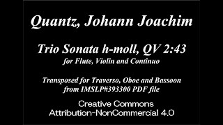 Quantz J J  Trio Sonata hmoll QV 2  43 Trv Ob Bsn [upl. by Ahtebat]