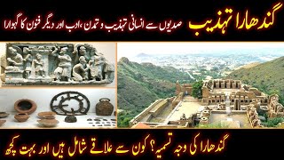 History of Gandhara Civilization in Urdu  Gandhara Tehzeeb  Gandhara Art [upl. by Hinda]