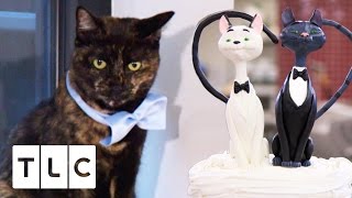 A Cat Cake For a Cat Wedding  Cake Boss Season 9 [upl. by Eolande]