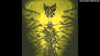 Defeated Sanity  Verblendung Passages Into Deformity NEW [upl. by Asus]