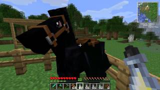 Minecraft  Mo Creatures PferdezuchtGuide ab MC Version 145 [upl. by Mellicent]