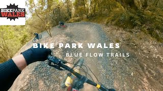 Bike Park Wales  Willy Waver Sixtapod Melted Welly Merthyr Rocks Terrys Belly [upl. by Rehpetsirhc]