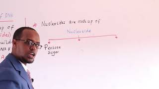 GENETICS LESSON 2 DNA STRUCTURE AND FUNCTION 1 [upl. by Efren]